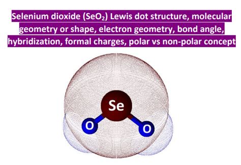 SeO2 Lewis structure, molecular geometry, bond angle, hybridization