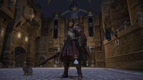 FFXIV Paladin Job Guide: Leveling and Rotation | HGG