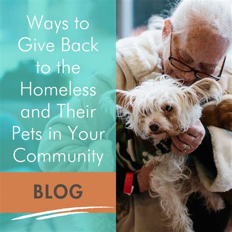 Ways to Give Back to the Homeless and Their Pets in Your Community | Pets of the Homeless