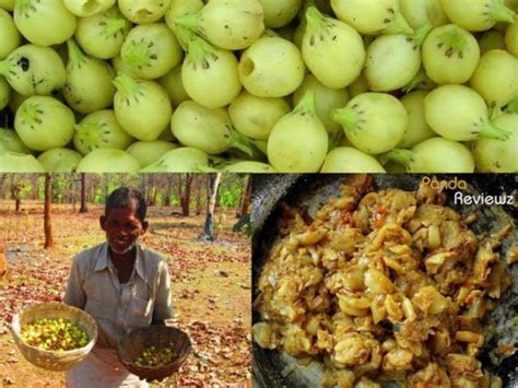 14 Delectable Jharkhand Food Items You Must Try At least Once | Touch To The Tribal World ...