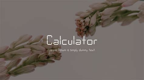 Calculator Font : Download Free for Desktop & Webfont