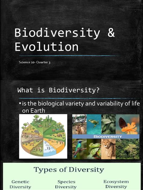 Biodiversity & Evolution | PDF