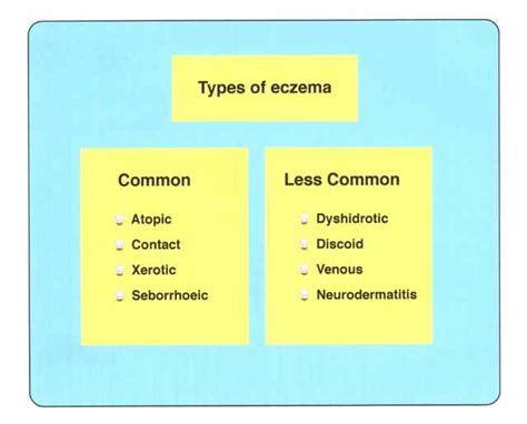 The main types of eczema