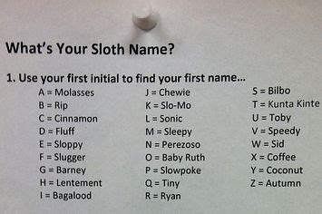 What's Your Sloth Name | Sloth names, Sloth, Names