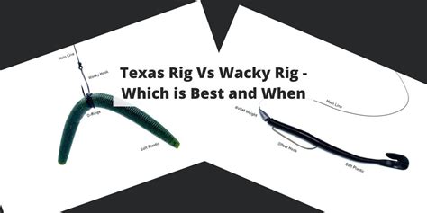 Texas Rig Vs Wacky Rig - Which is Best and When