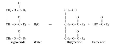 7: Hydrolysis of Triglycerides to from Diglycerides and FFA's ...