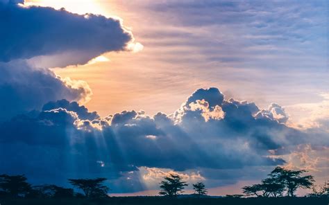 nature, Landscape, Sunset, Clouds, Trees, Savannah, Africa, Sun Rays ...