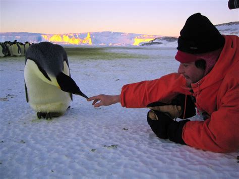 March of the Penguins director to close Cannes with climate change film Ice and the Sky | The ...