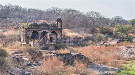 Temple ruins, Ranthambore Fort, Ranthambore National Park, Rajasthan ...