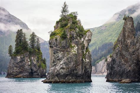 Glaciers and Orcas at Kenai Fjords National Park | Drive The Nation