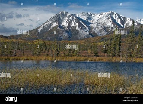 Snag, yukon canada hi-res stock photography and images - Alamy