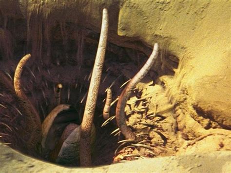 Sarlacc | Star Wars Wiki | FANDOM powered by Wikia