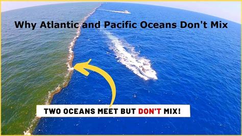 Why don't the Atlantic and Pacific Oceans mix? #youtubeshorts #Bright side - YouTube