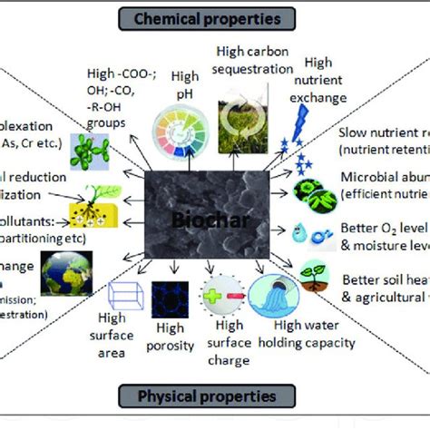 (PDF) Biochar: A Sustainable Approach for Improving Soil Health and Environment