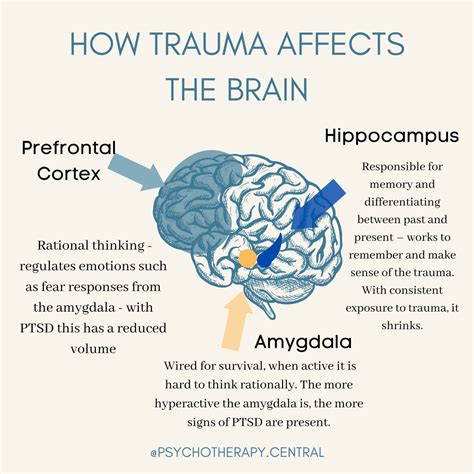 How Trauma Affects the Brain