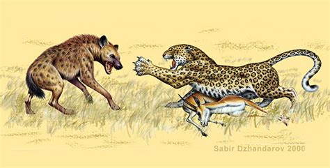 ArtStation - Book illustration. Hyena and leopard.