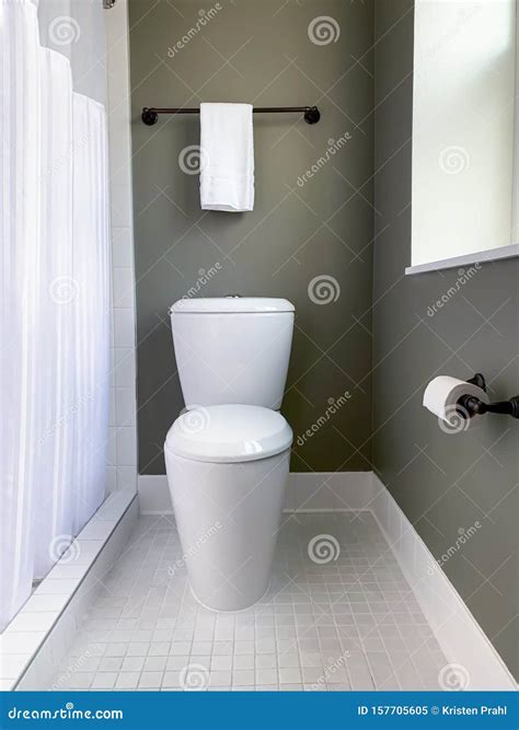 Modern Toilet Design in Stylish Gray and White Bathroom Stock Image - Image of contemporary ...