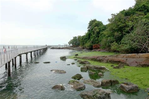 Pulau Ubin Guide — A Local’s Guide to Exploring This Hidden Gem - The ...