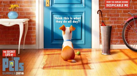 The Secret Life of Pets Ride Coming to Universal Orlando! - Orlando ...