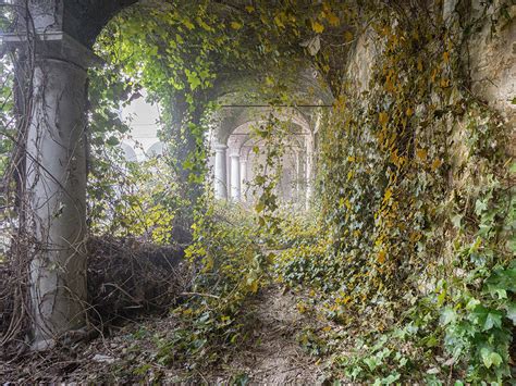 Abandoned buildings seen reclaimed by nature after humans leave, in ...