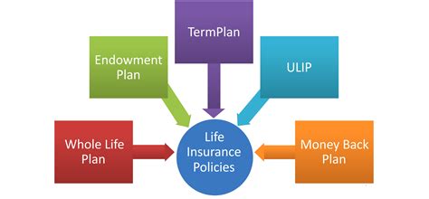 Types of Life Insurance Policies in India - ComparePolicy