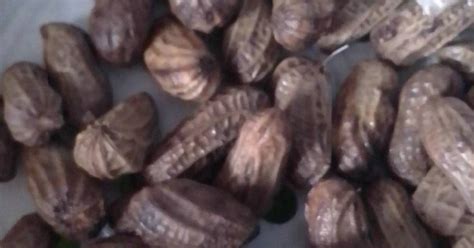 Resep Kacang rebus seadanya oleh sugeng wahyudi - Cookpad