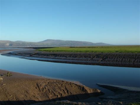 Wigtown Bay Reserve (Dumfries and Galloway) - BirdForum Opus | BirdForum