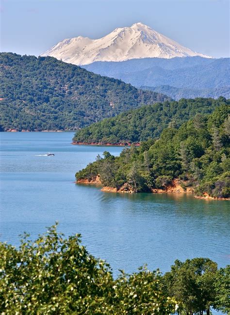 Shasta Lake & Mountain Bass Fishing Tips, Going Fishing, Fishing Basics ...