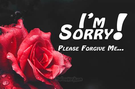 Sincere Sorry Messages And Apologies For Your Wife » True Love Words