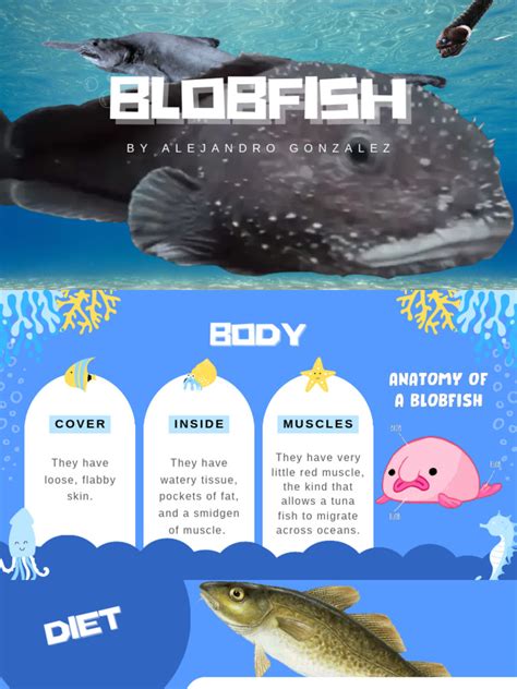 Blobfish | PDF