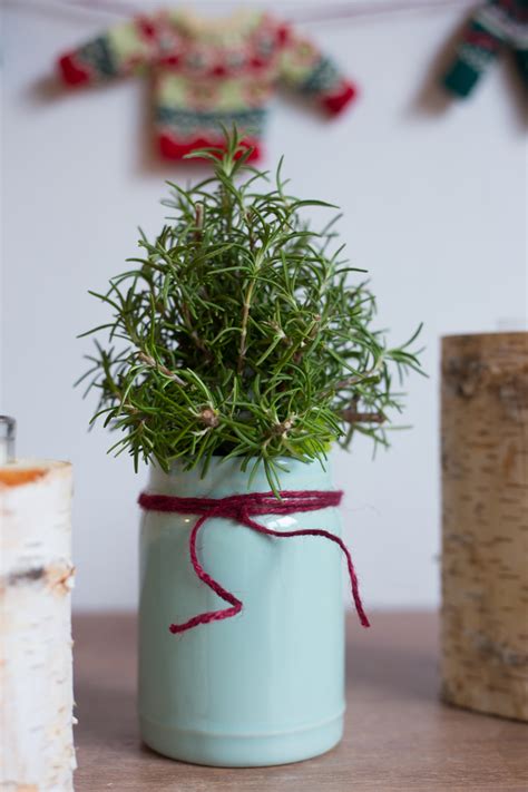 DIY Rosemary Christmas Trees - Live Free Creative Co