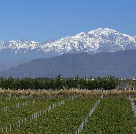 Uco Valley Wine Experience - Ampora Wine Tours Mendoza