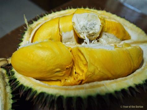 Durian Fruit Benefits In Tamil - Tere Fruit