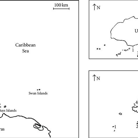 (a) Map of Caribbean showing location of Utila and Cayos Cochinos. (b ...