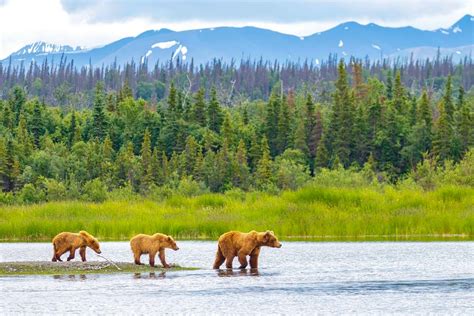 The Best Time To Visit Alaska: A Year-Round Planning Guide