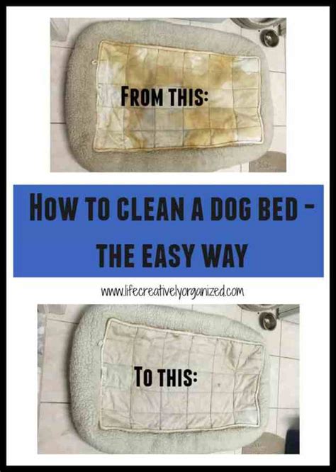 Clean the dog bed? It's easy! - LIFE, CREATIVELY ORGANIZED