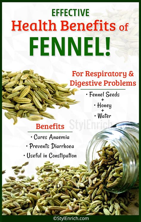 Fennel Seed Benefits : How Fennel Can be Effective for Respiratory and ...