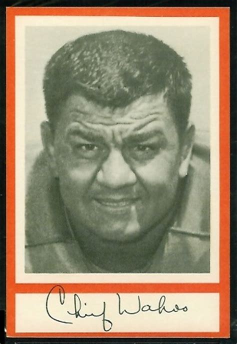 Wahoo McDaniel - 1967 Royal Castle Dolphins #15 - Vintage Football Card Gallery