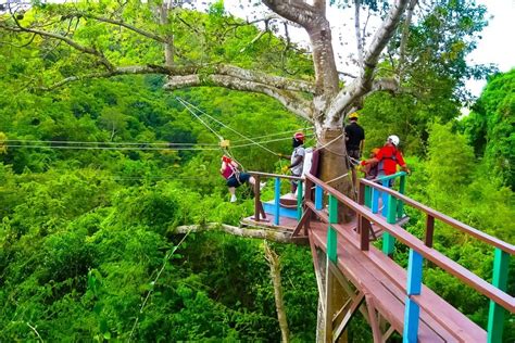 Antigua Rainforest Canopy Tour – Discover Antigua and Barbuda