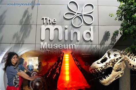 The Mind Museum - BGC, Taguig City | Wondering Wanderer Travel Blog