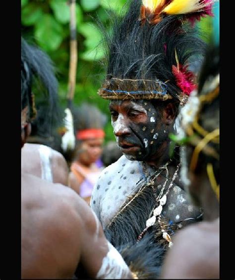 Kasuari Papua - Alam Mentari