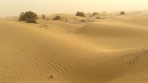 How to visit Taklamakan Desert- one of the deadliest deserts on the Earth