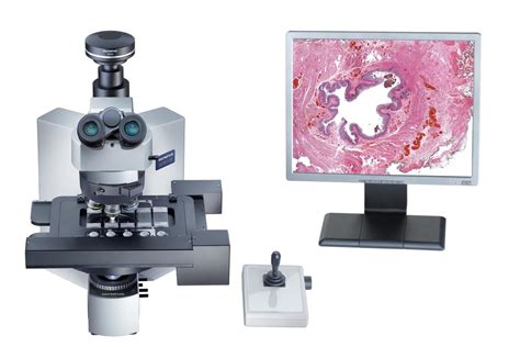 High Throughput Microscopes | HBIAMP | Cumming School of Medicine | University of Calgary