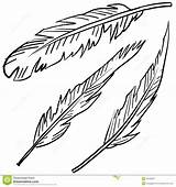 Indian Feather Coloring Pages – Warehouse Of Ideas sketch template