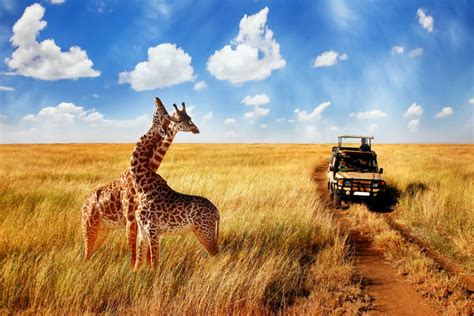 South Africa Tour Packages 2023 | Price Beat Guarantee