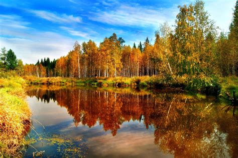 Free photo: River autumn reflections - Autumn, Sunny, Reflection - Free ...