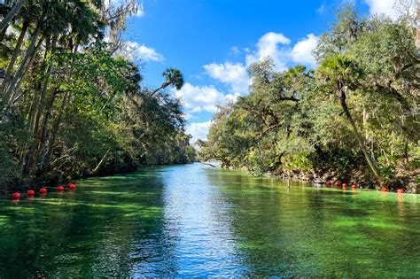 Florida State Parks Wildlife