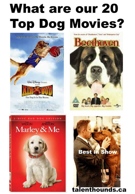 What are our 20 Top Dog Movies? - Talent Hounds