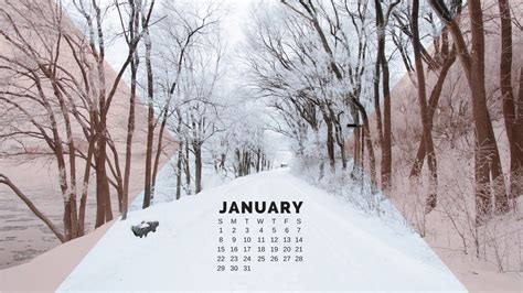 January Winter Desktop Wallpapers on WallpaperDog