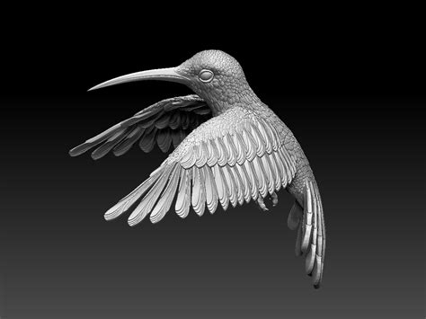 STL file colibri humming bird 3D print model・3D printable design to download・Cults